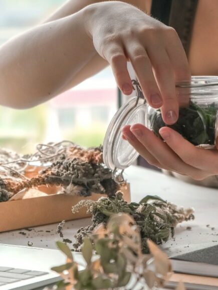 Mestrado em Naturopatia + Mestrado em Dietética Herbal e Herbalismo